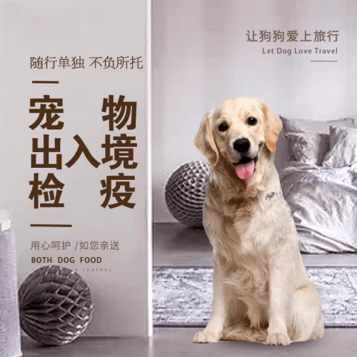 连云港市宠物托运到哥伦比亚猫狗宠物入境规定和