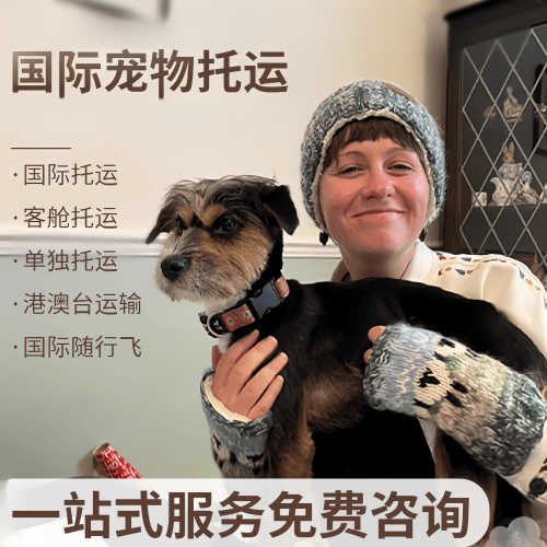 连云港市国际宠物托运到阿根廷宠物入境规定和要
