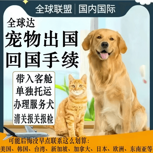 连云港市宠物托运到柬埔寨宠物入境规定和要求