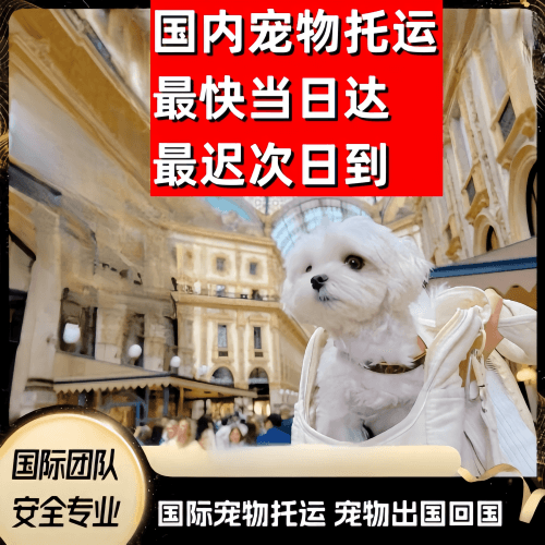 连云港市到澳大利亚（澳洲）宠物入境规定和要求
